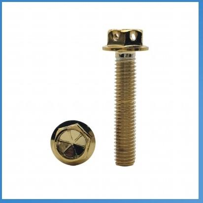 Hollow external hexagonal screws
