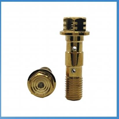 Double hole oil pipe screw